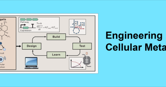 IBSG Journal Club Session 35 – Engineering Cellular Metabolism