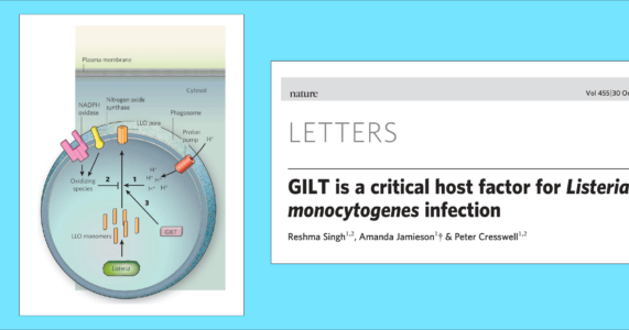 IBSG Journal Club Session 36 – Cơ chế nhiễm trùng của Listeria monocytogenes