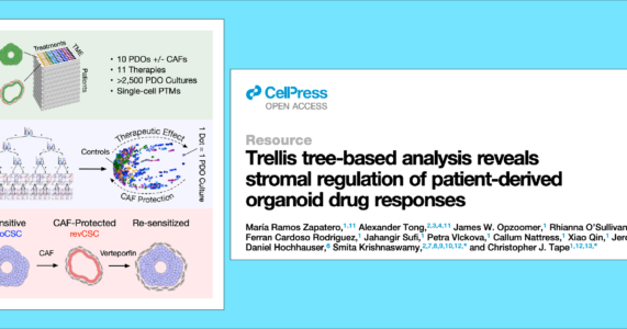 IBSG Journal Club session 42: Thuật toán sàng lọc thuốc dựa trên organoid từ bệnh nhân