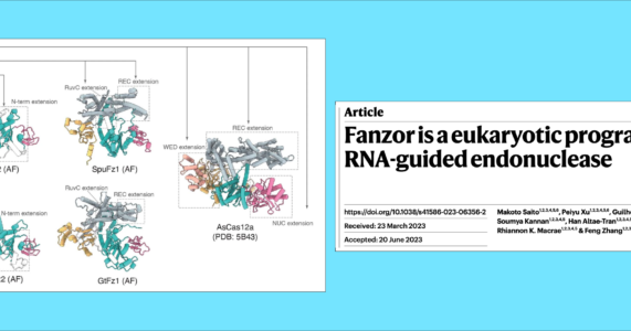 IBSG Journal Club session 47: Fanzor – Hệ thống CRISPR-Cas9 của tế bào nhân thực